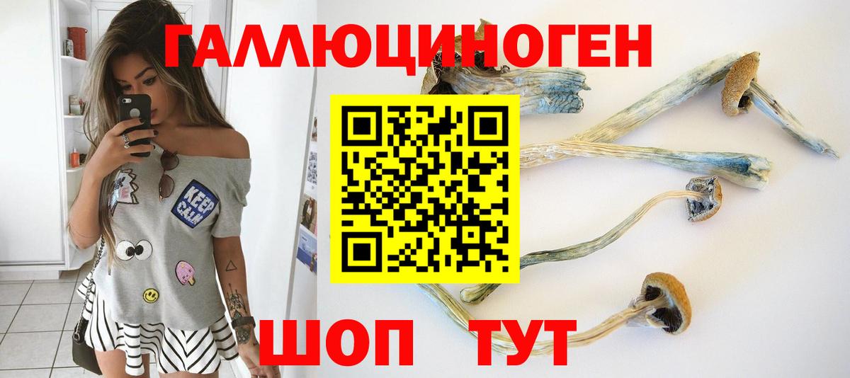 Псилоцибиновые грибы Magic Shrooms Зима