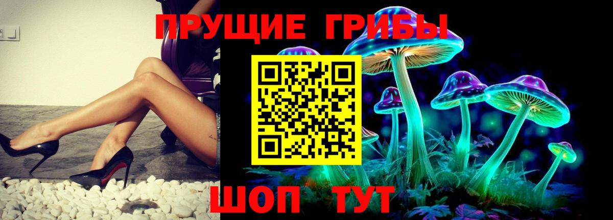 Зима  Псилоцибиновые грибы ЛСД  Вход с VPN 